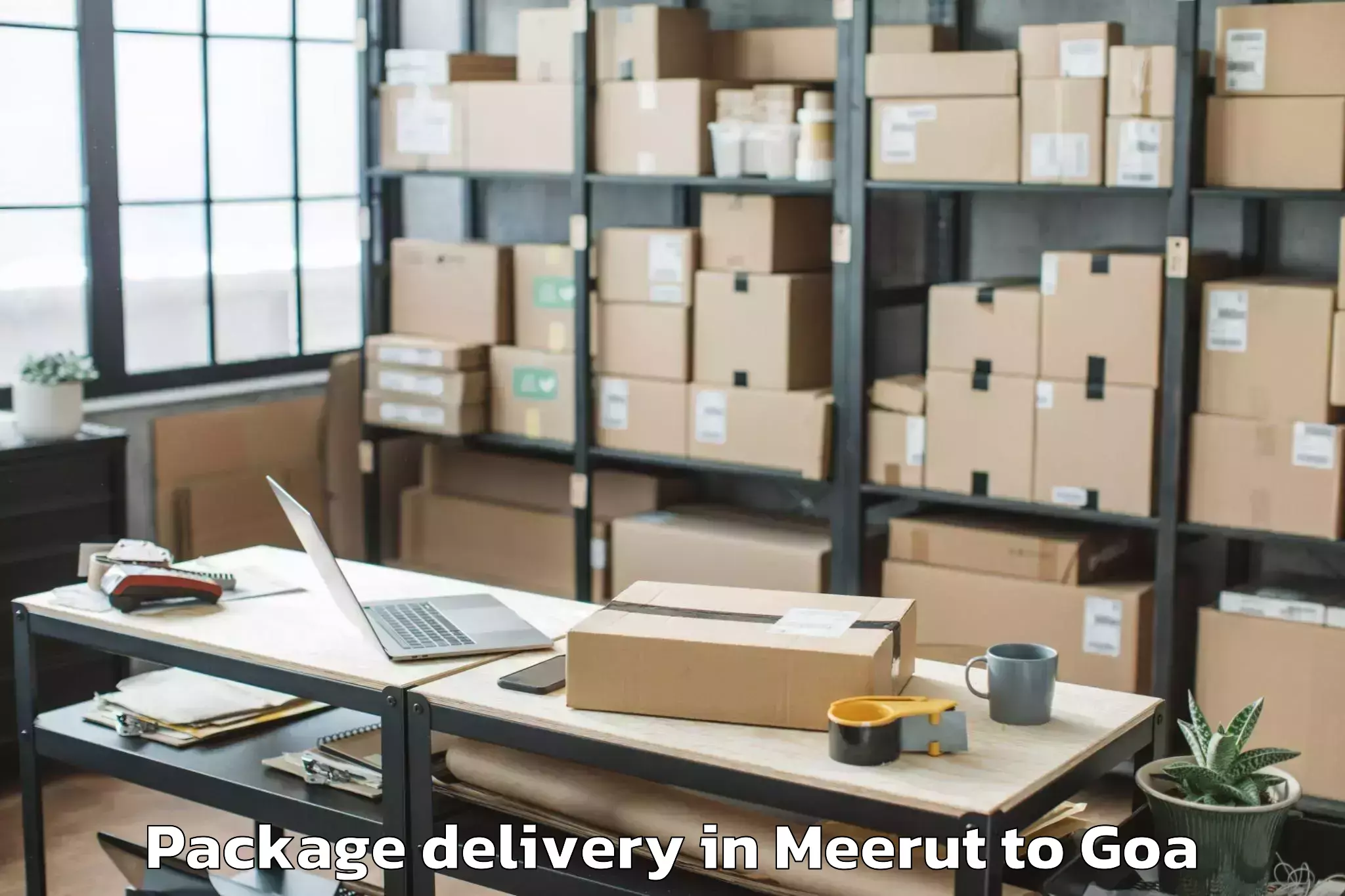 Expert Meerut to Colovale Package Delivery